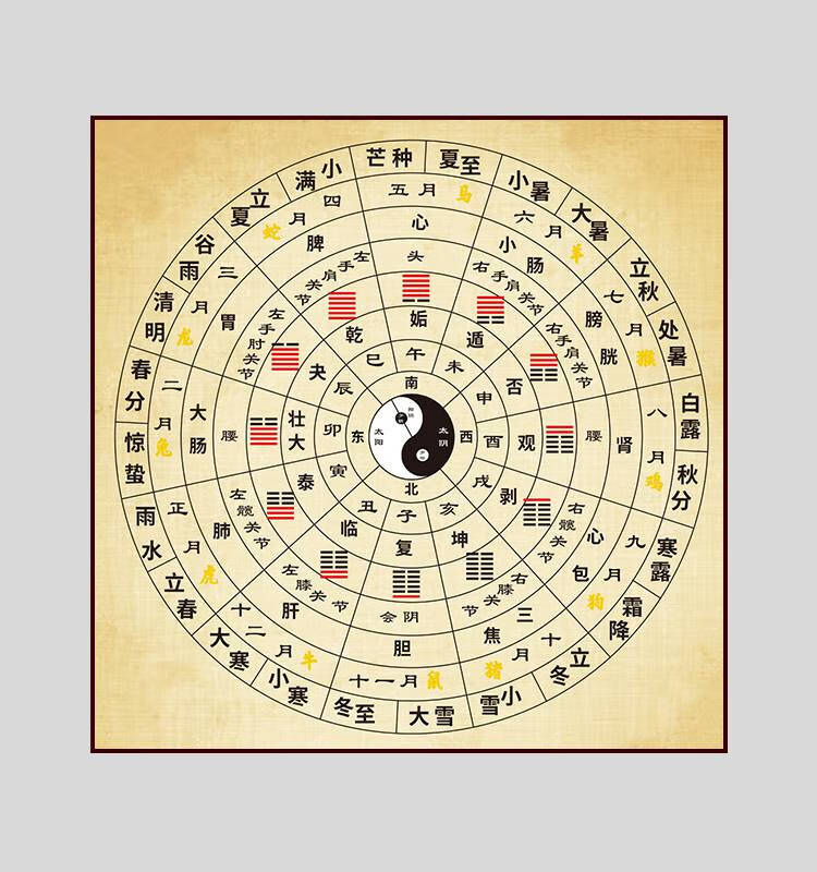 太极八卦图中医五行五行太极八卦二十四节气经络十二时辰周易易经八卦