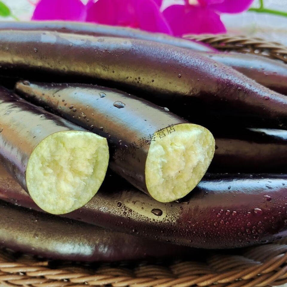 茄子新鲜茄子批发东北紫茄子正宗紫丽人茄子新鲜蔬菜紫裤长茄子净重2