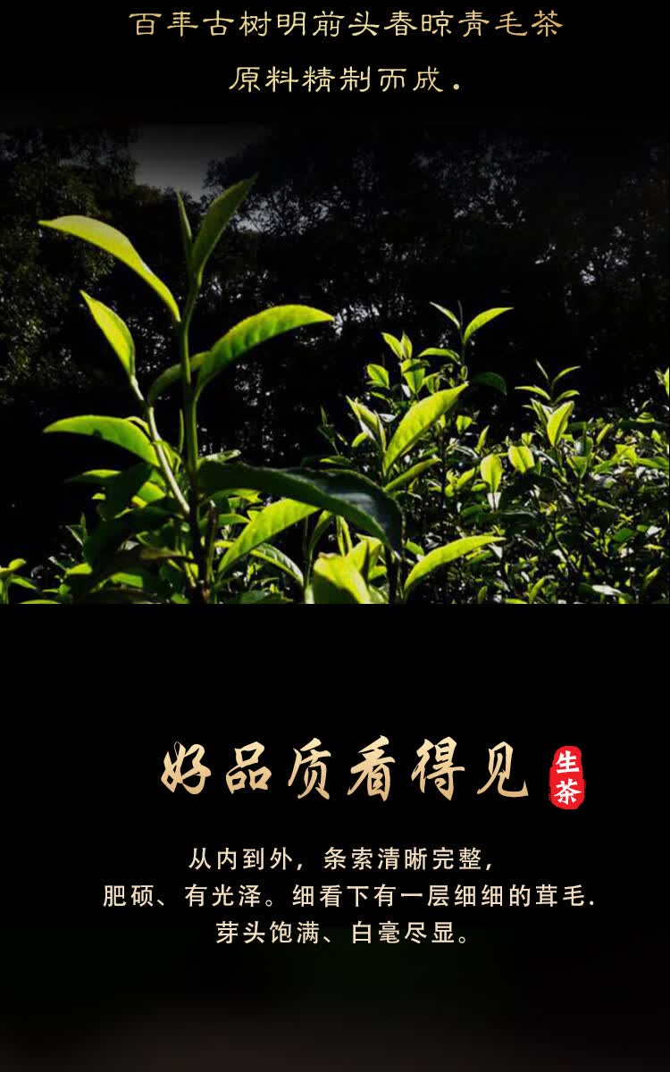 5折普洱生茶特级普洱小沱茶云南大雪山古树普洱龙珠茶小龙珠300g罐装
