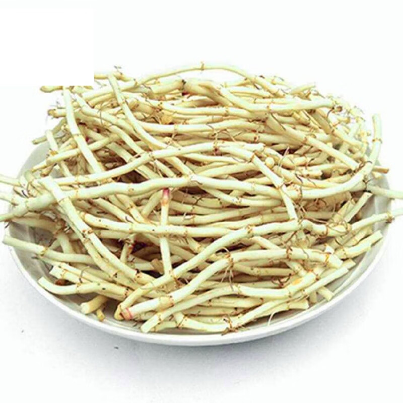 恩施山道新鲜野生折耳根折儿根鱼腥草狗腥草侧耳节节根野蔬菜