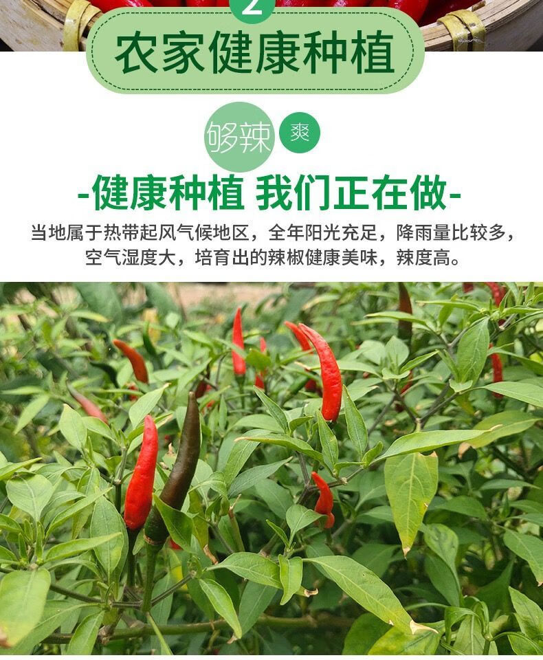 辣椒新鲜特辣小米辣指天椒朝天椒小尖椒现摘现发红辣椒有红有青的150g