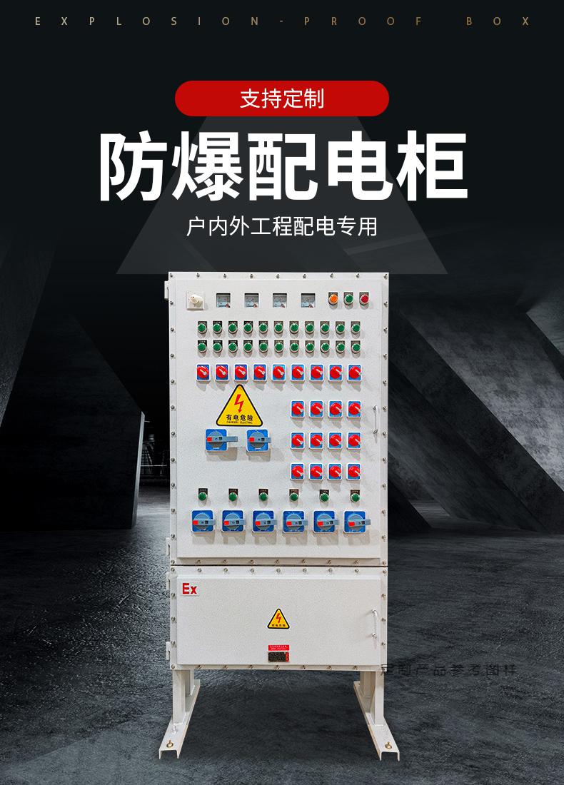 防爆配电柜不锈钢照明控制配电箱接线箱监控检修仪表操作柜子定制.
