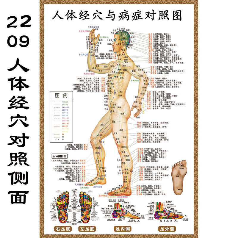 人体穴位挂图中医养生馆贴画病症对照图全身穴位海报针灸艾灸海报2202