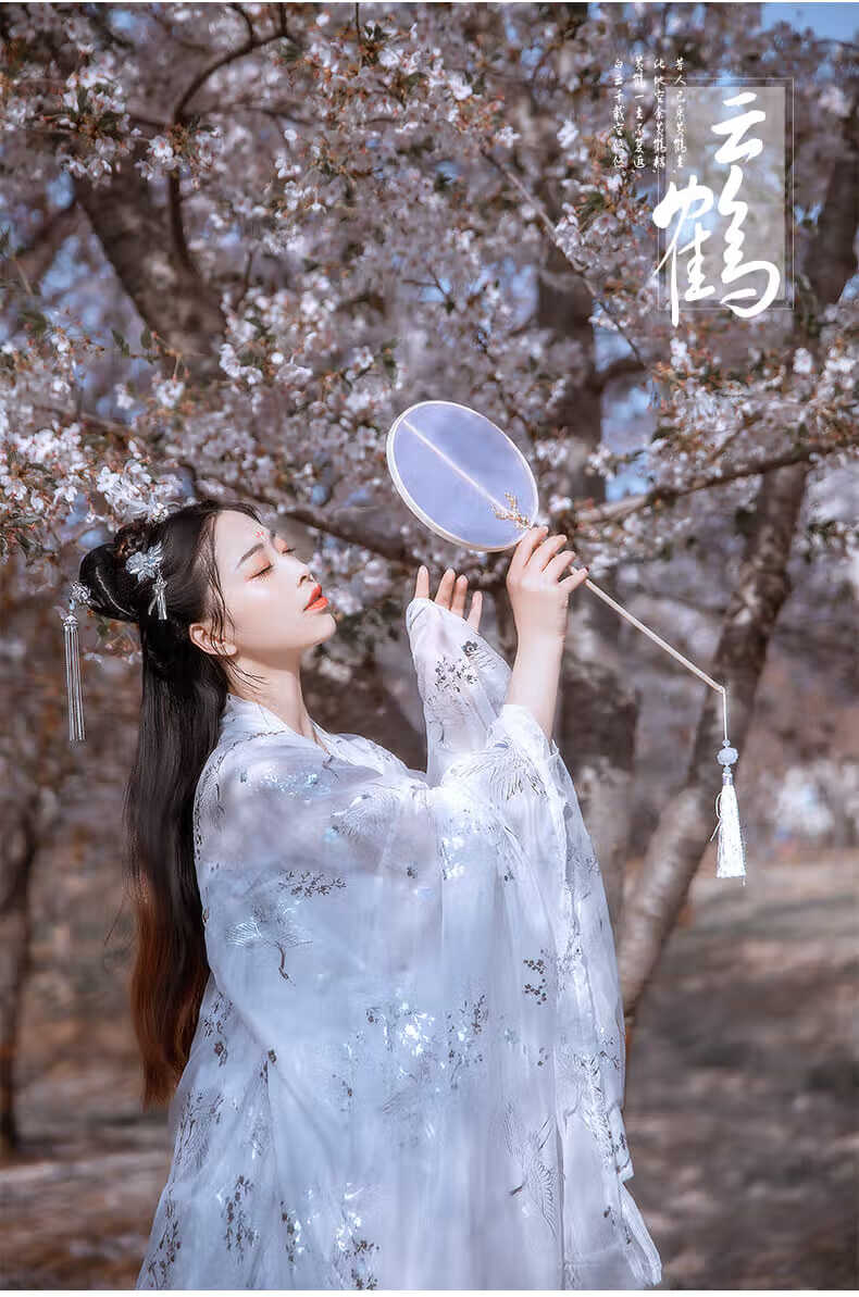 艺缕新款汉服女原创夏季中国风大袖衫齐胸襦裙6m烫金裙摆 黑云鹤上衣