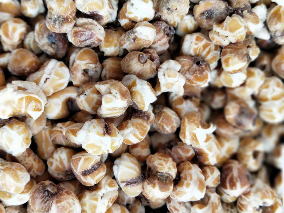 贵州特产大方包谷花糯包谷花水包花 不丢手爆米花玉米花原味500克定制