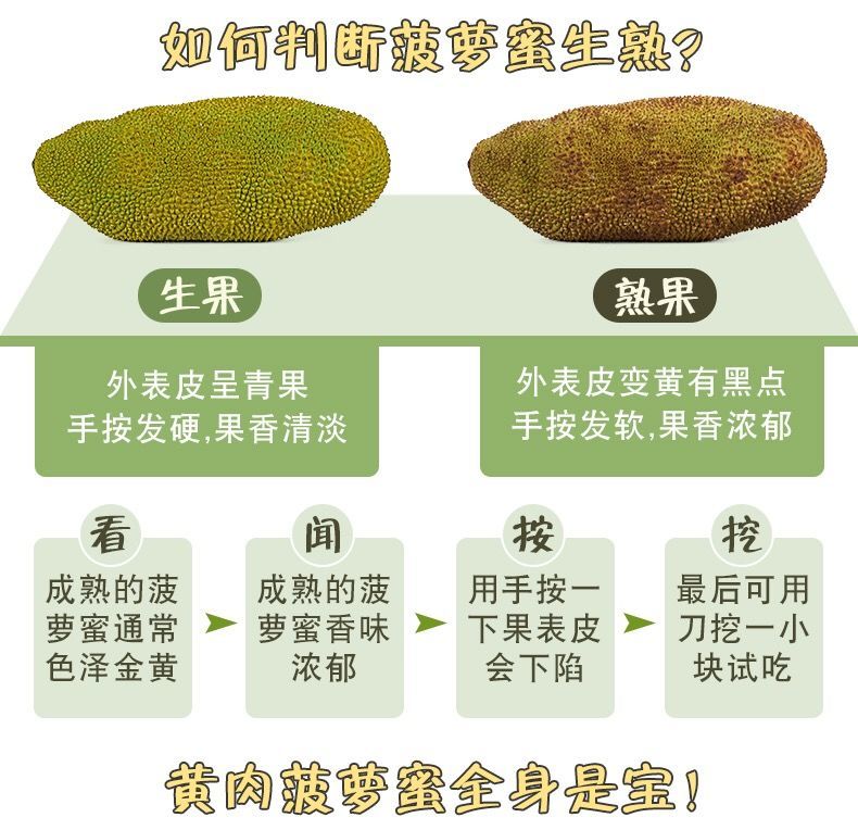 海南黄肉菠萝蜜新鲜热带水果应当季三亚老树精选菠萝蜜木菠萝整个1721