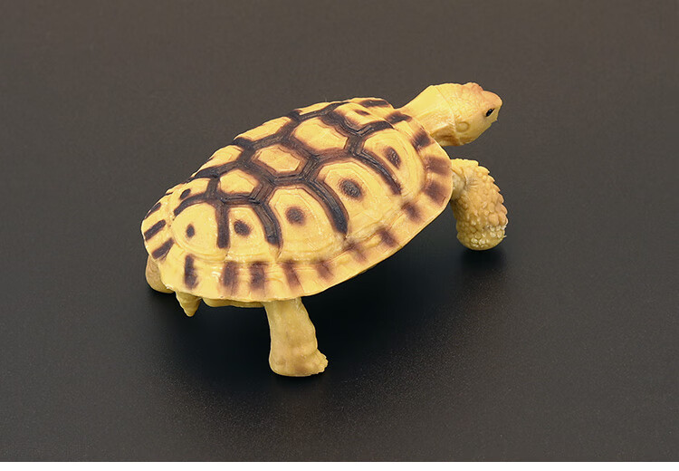 知鹿实心儿童仿真动物玩具野生动物模型陆龟象龟辐射乌龟认知礼品摆件