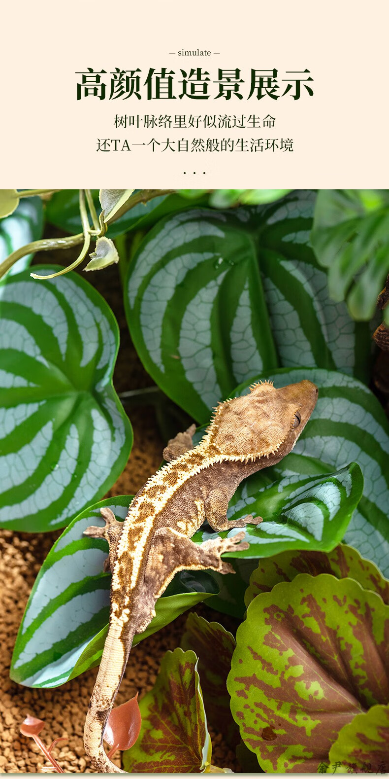 睫角守宫垫材蓝玻璃树蛙爬虫仿真造景植物雨林缸装饰蜥蜴变色龙饲养箱