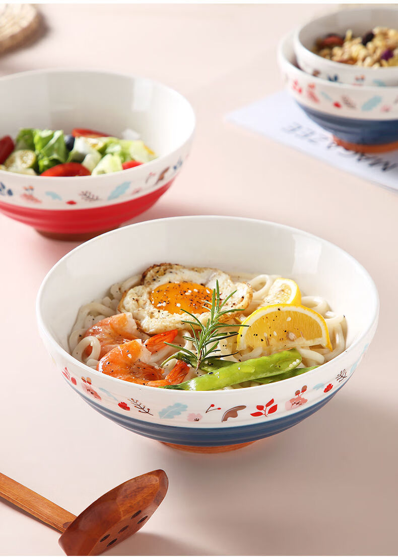 日式拉面碗大号汤碗斗笠碗陶瓷大碗泡面碗吃面条碗家用防烫吃饭碗混色