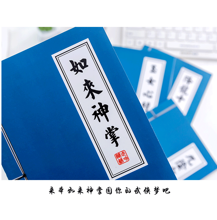 创意笔记本子葵花宝典降龙十八掌武功秘籍笔记本本子创意搞怪记事本