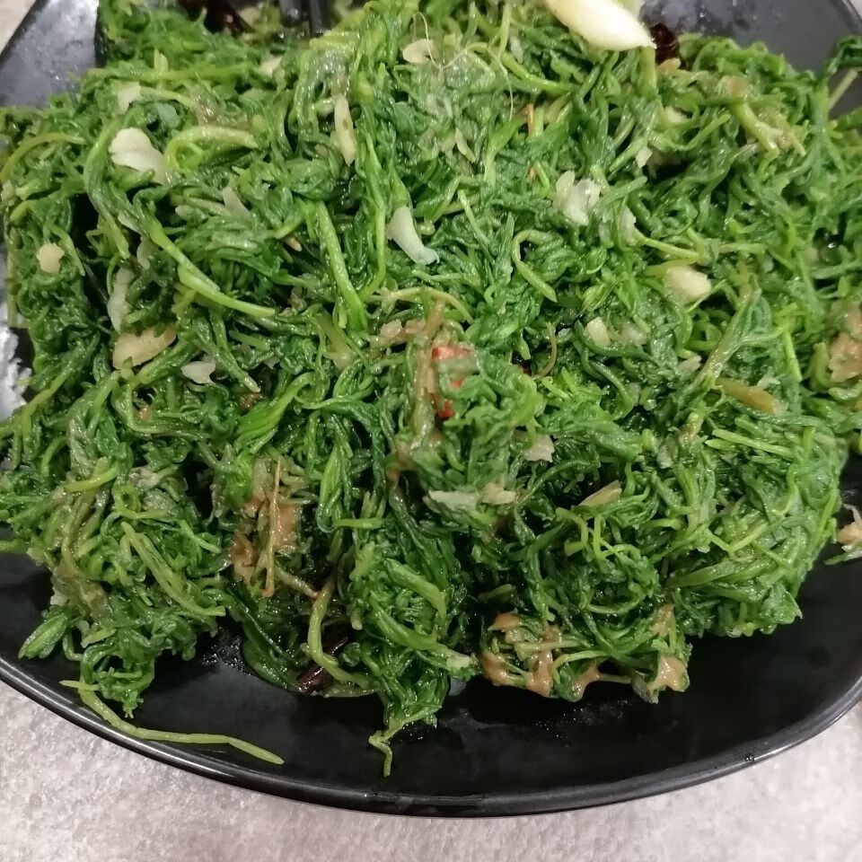 河北特产野菜黄须菜黄骅盐碱地野生菜涮羊肉饺子馅凉拌菜速冻精品莱4