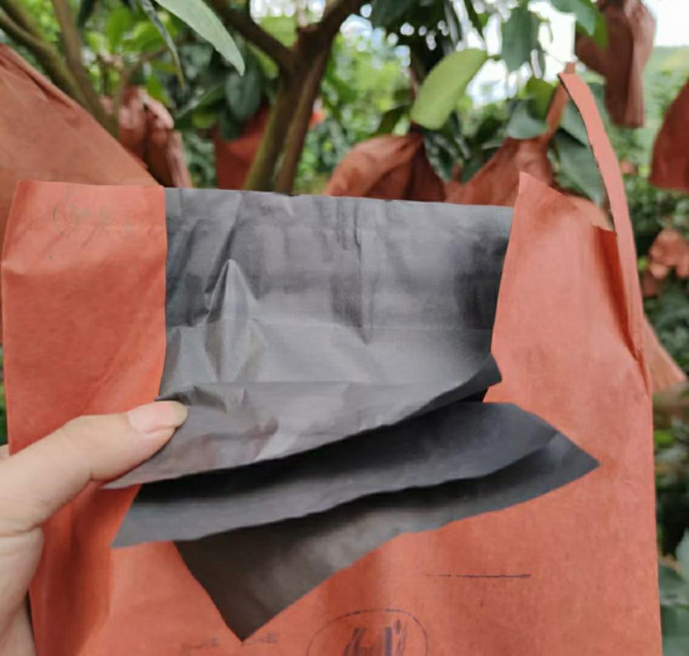 蜜柚套袋 沙田柚套袋早熟加厚型专用虫冻育果保护袋 柚子套袋 驰爵