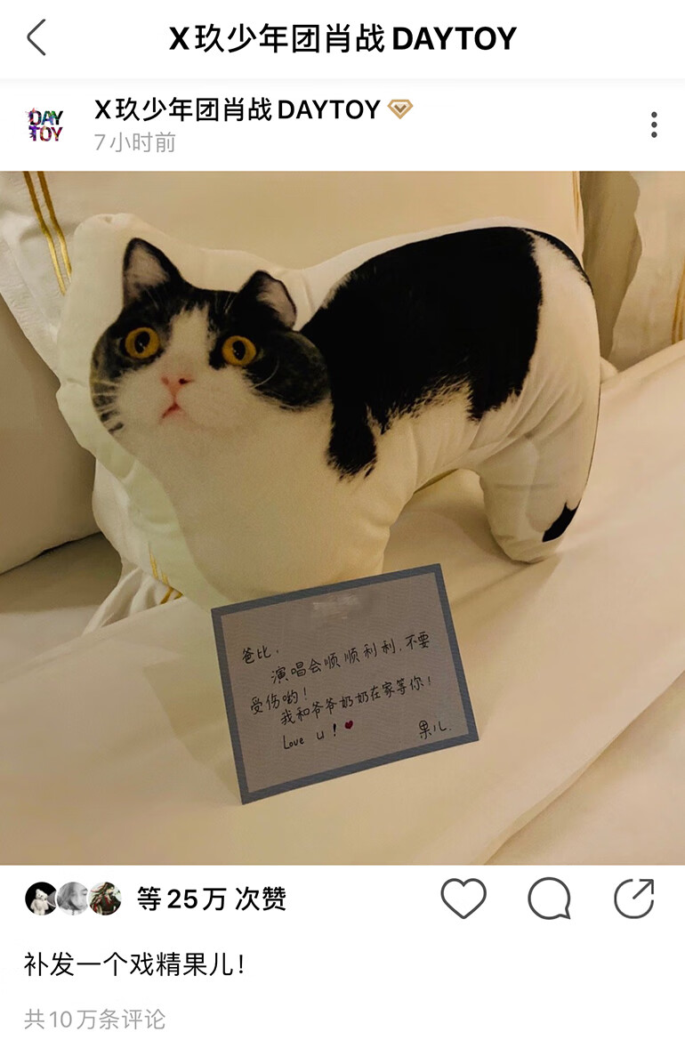 鹤王肖战同款 坚果 猫 果儿抱枕 肖战的猫创意3印花抱枕 女生礼物 肖