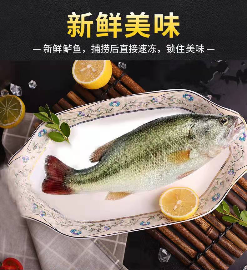 新鲜七星鲈鱼鲜活现杀真空包装全程冷链淡水鲈鱼新鲜美味清蒸鲈鱼一条