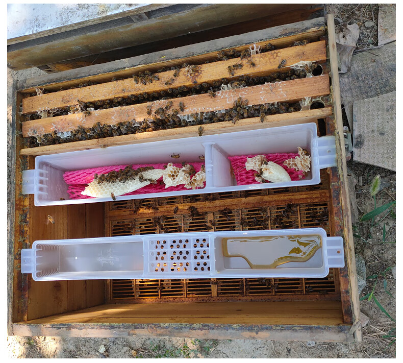 5kg饲喂器*30个(漂浮网20c【图片 价格 品牌 报价】-京东