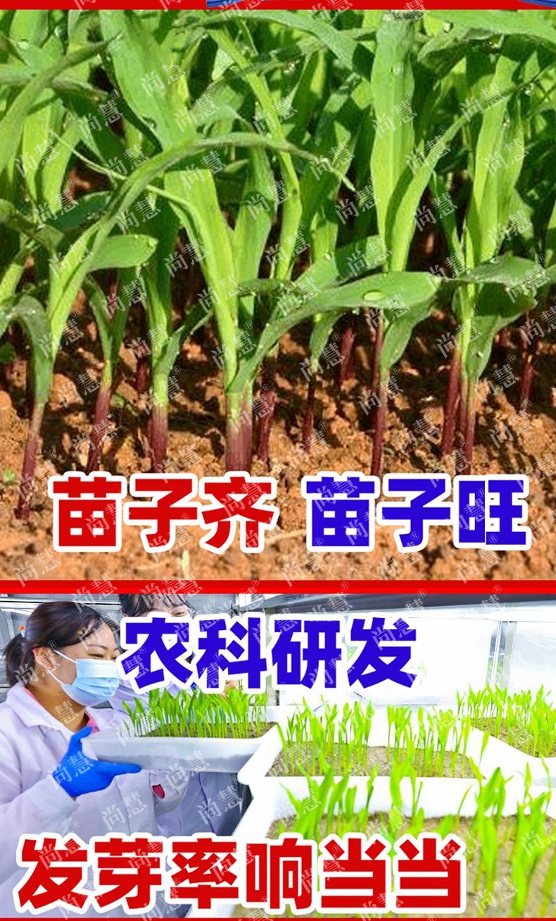427162719373641f.jpg