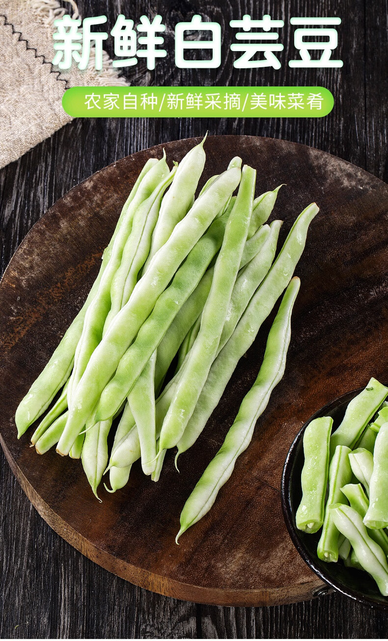 山东芸豆新鲜蔬菜老来少芸豆现摘现发白不老芸豆九粒白四季豆 1斤