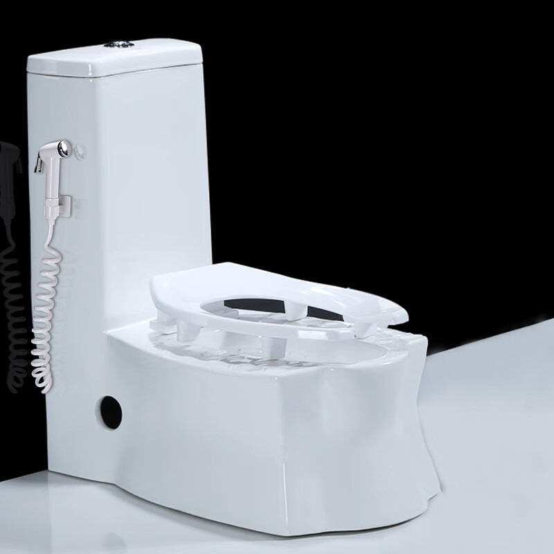 好景象 蹲坐两用马桶一体可蹲可坐实用坐便器家用虹吸式抽水坐厕孕妇