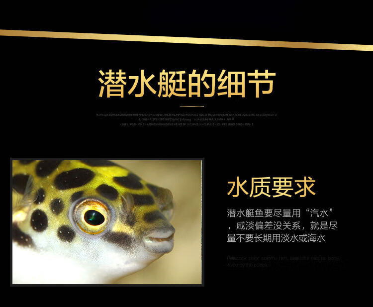 河豚鱼活体活物大金娃娃潜水艇弓斑河豚热带观赏鱼运输包活岚黛大金