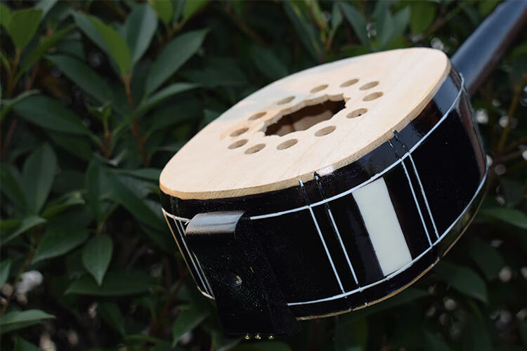 河南坠子乐器坠胡木板大小三弦坠琴精品琴盒琴弦坠子书坠胡乐器 花梨