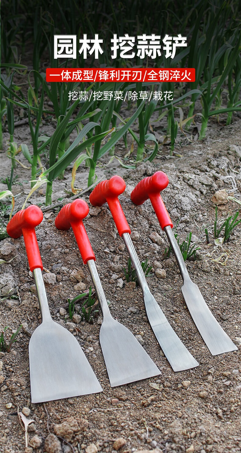 铲子挖野菜的小铲子专用铲除草挖土挖蒜铲子种花农用工具大全园艺神器