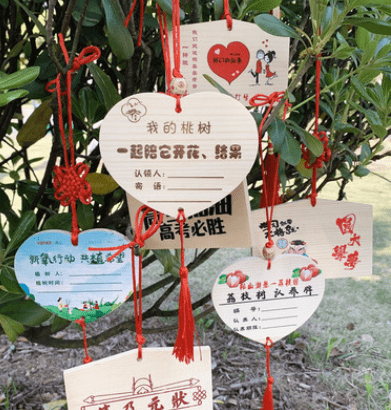 植树节挂牌 小木牌挂饰树上室外植树节挂牌认养牌定制单位学校幼儿