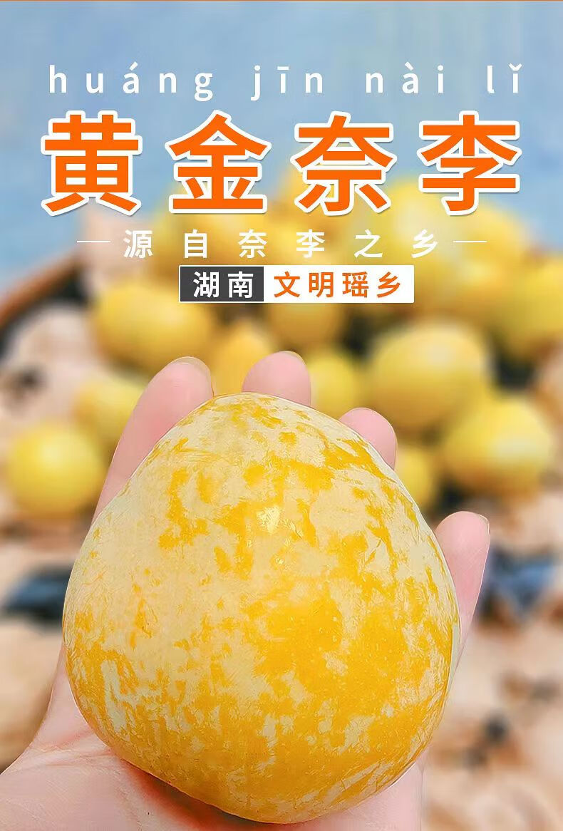 正宗黄金奈李 湖南汝城文明黄金奈李新鲜水果脆甜李子现摘现发 10斤