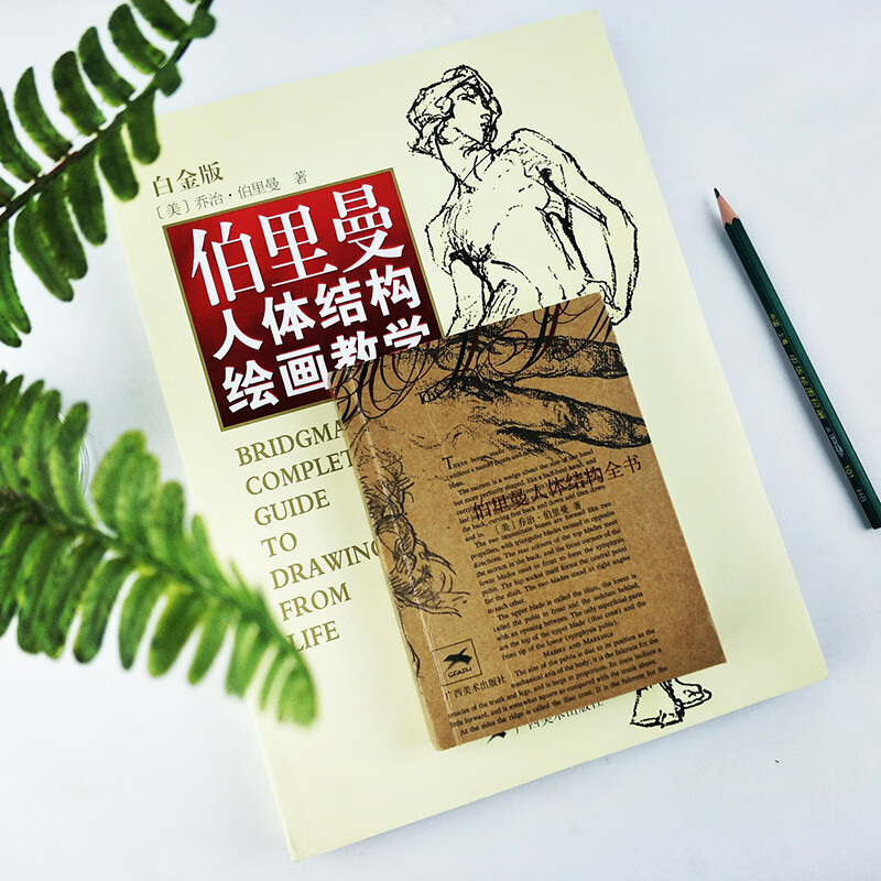 旗舰正版伯里曼人体结构全书袖珍版便携小开本人体人物绘画教学素描