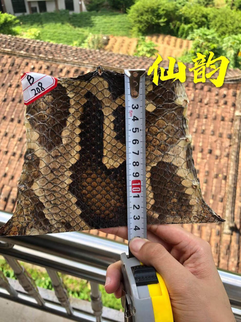 新店特惠蟒皮二胡皮中胡高胡尾部尾巴根二弦用皮单块蒙皮全国 b系中间