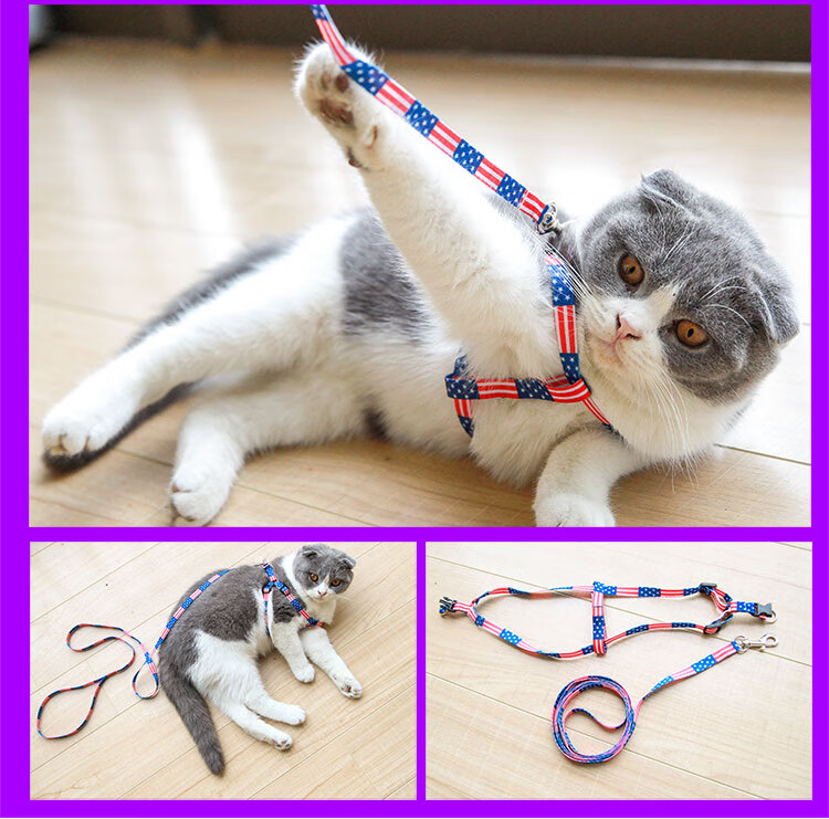 溜猫绳防挣脱胸背带猫咪牵引绳拴猫绳猫链子牵引带猫绳可调节猫绳 15