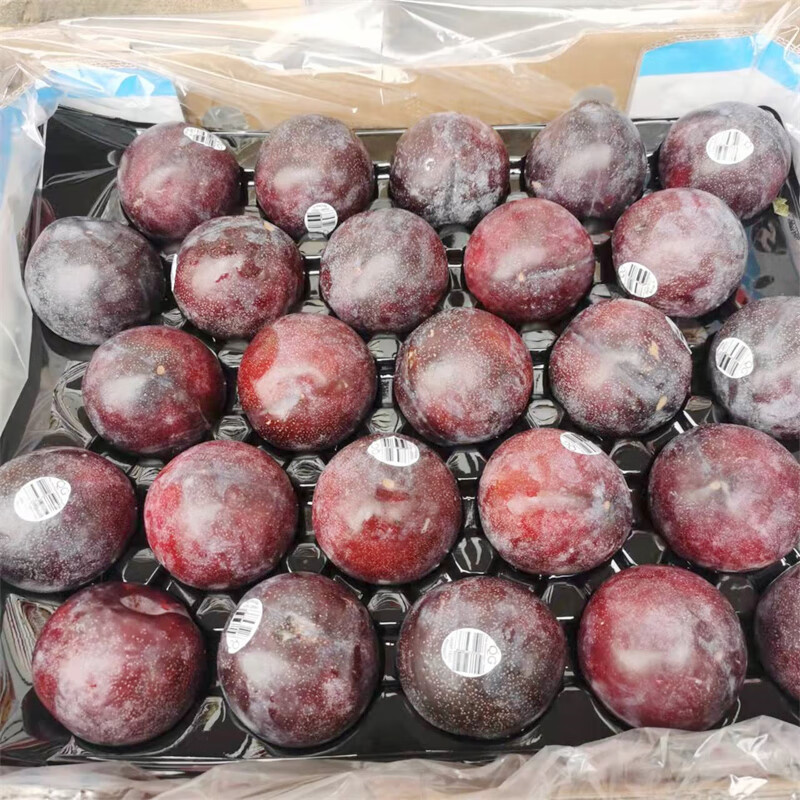 澳洲胭脂女王李礼盒7斤装皇后李恐龙蛋大李子黑布林新鲜水果【图片