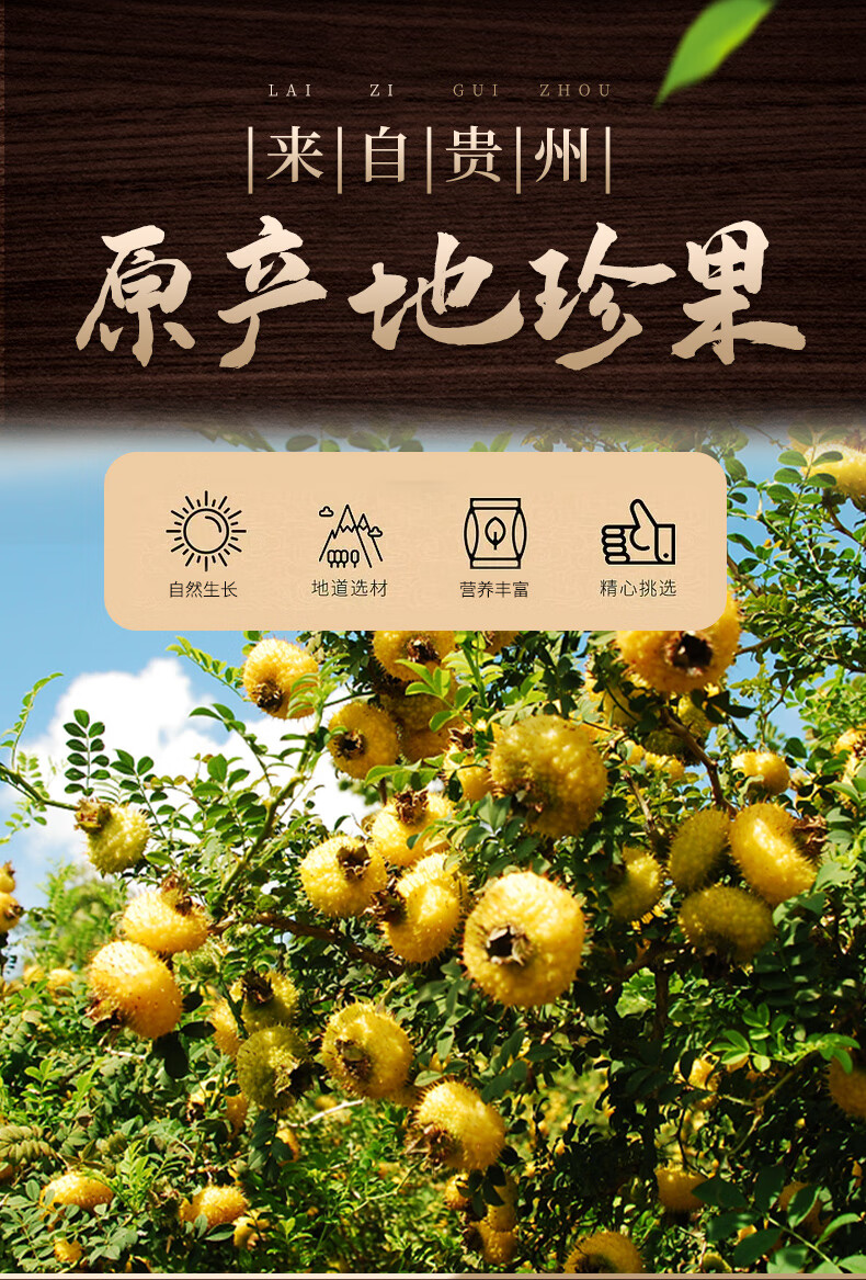 刺梨干果罐装泡水泡酒黔宝康刺梨果茶贵州鲜果刺梨原汁 精选野刺梨