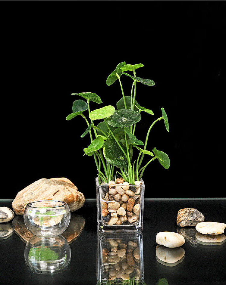 适用场景:客厅,卧室造型:书风格:北欧风商品毛重:100.