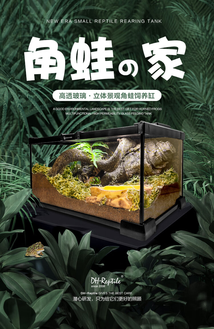 宠物角蛙造景玻璃饲养缸生态环境爬宠缸雨林缸水陆缸景观箱 小号 角蛙