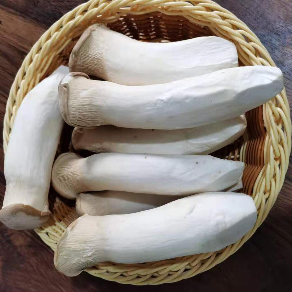 jd物流杏鲍菇菌菇食用菌火锅涮菜精品杏鲍菇三斤