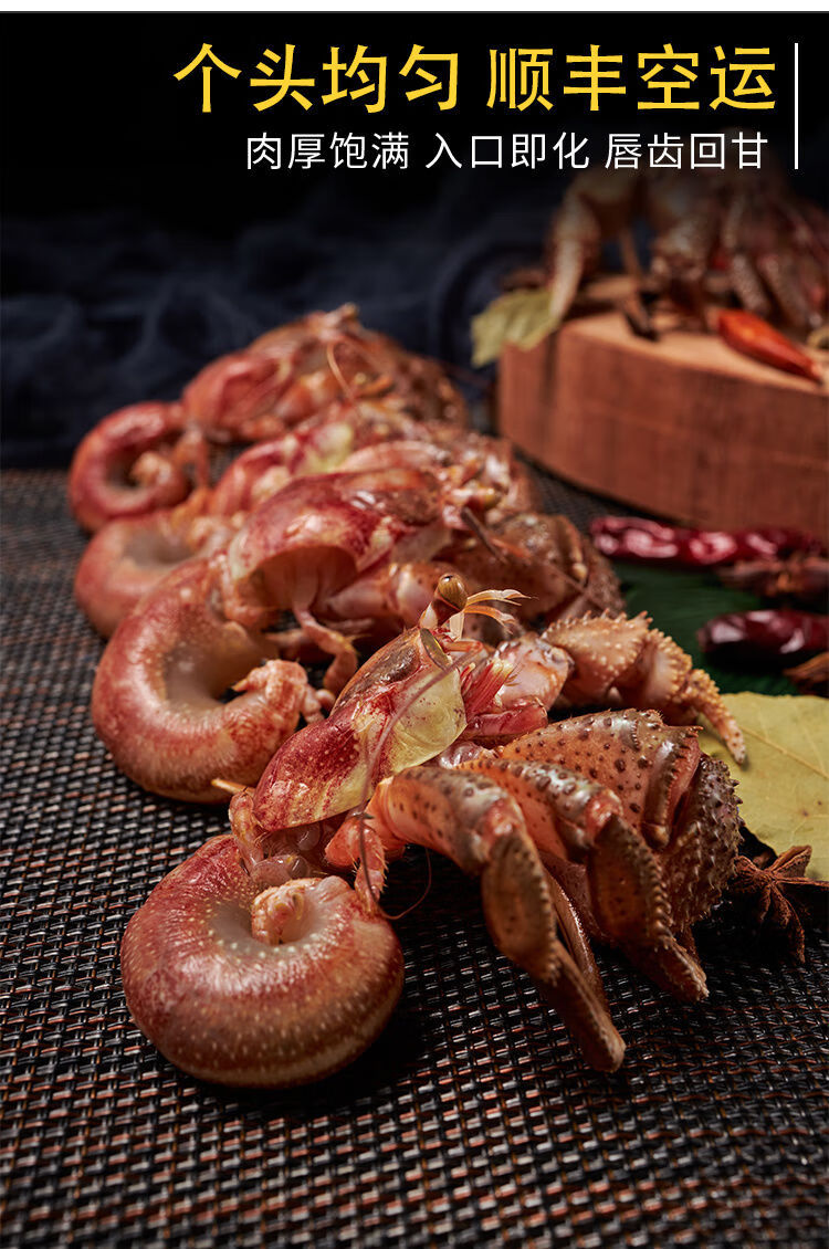 大连虾怪3斤带壳虾怪鲜活食用大个新鲜海鲜大海怪食用大虾怪3斤约1417