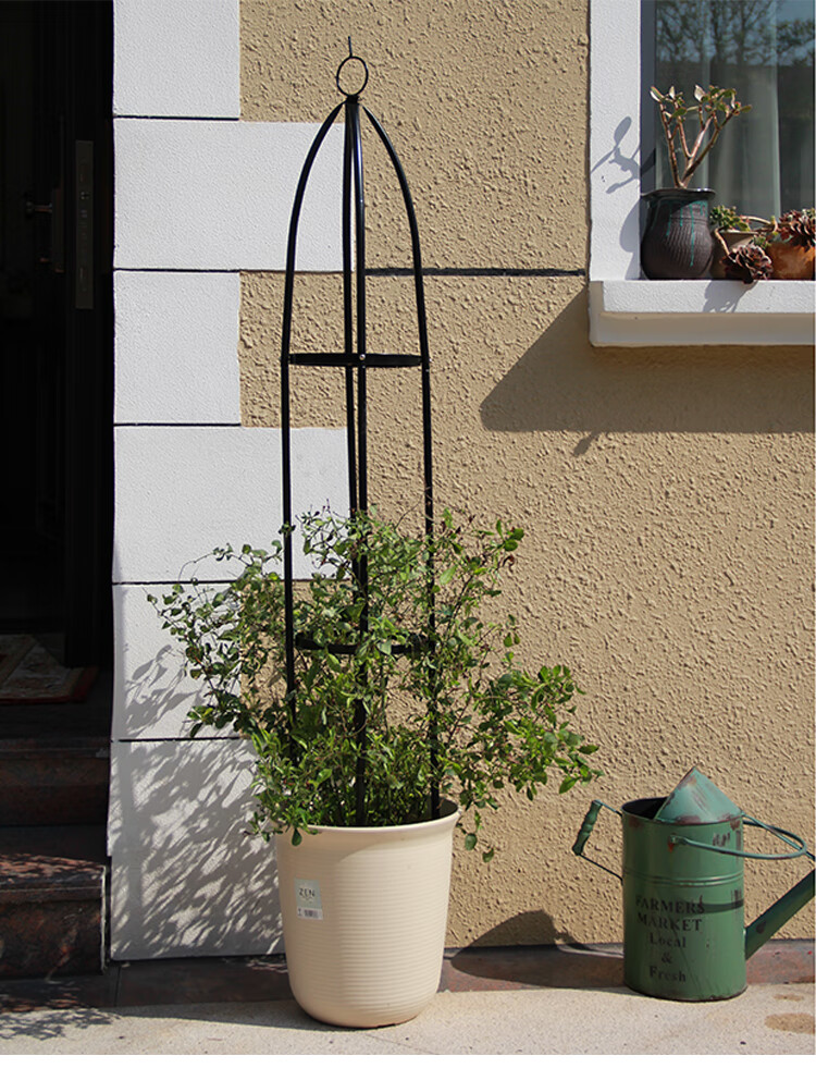 雷帕汀 植物花爬架月季爬架 铁线莲爬藤花支架植物支架 植物爬藤架子