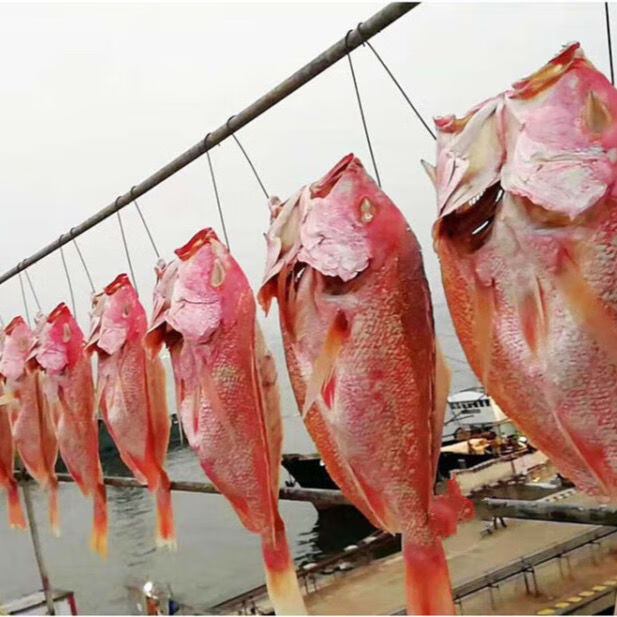 苏伯(subo) 海南特产 咸鱼深海大红鱼干 天然自晒鳗鱼干货 海鲜干货