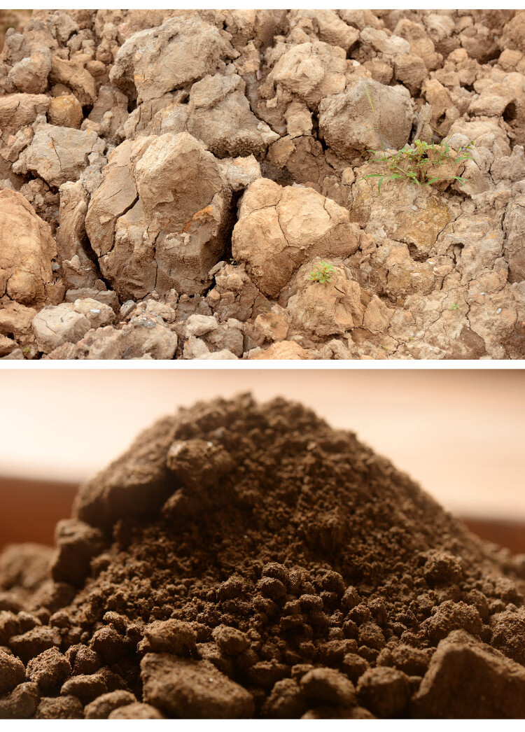 河泥塘泥香氏塘泥碗莲专用荷塘泥河沙蚯蚓粪泥炭土多肉营养土兰花土