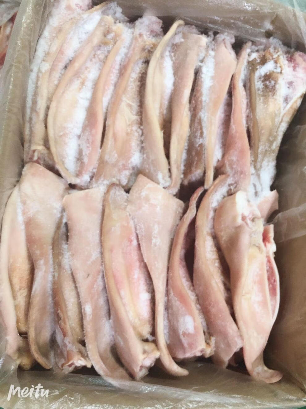 弄鱼堂 耳朵新鲜冷冻猪耳朵大根耳朵猪耳片生猪耳朵20斤带根耳片 20斤