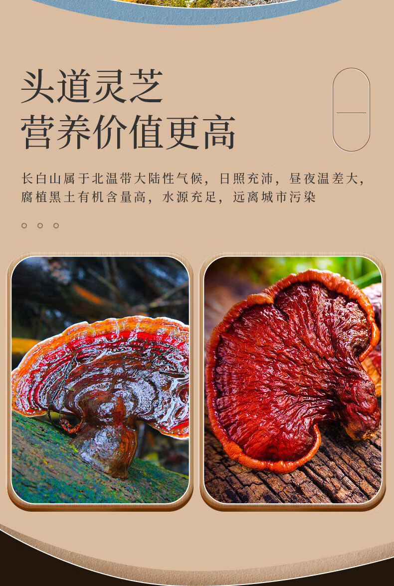 e6dd2c97d7f80211.jpg
