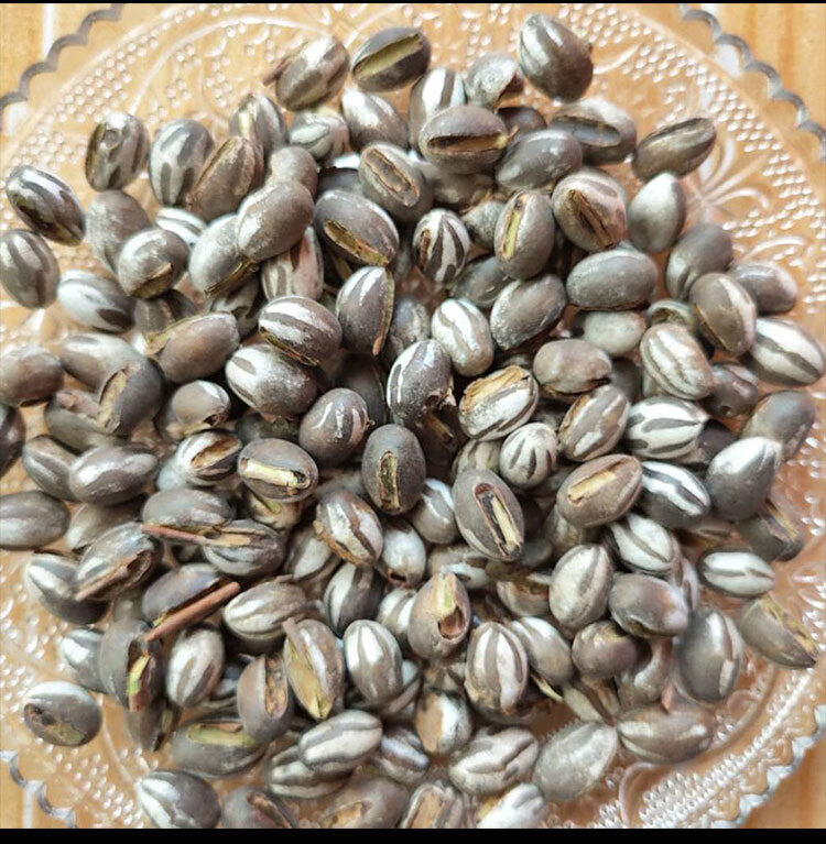 逸乐宠杨拉罐洋辣子罐蛋蜜袋鼯零食刺猬飞鼠增肥虫仓鼠坦克虫 60颗(小