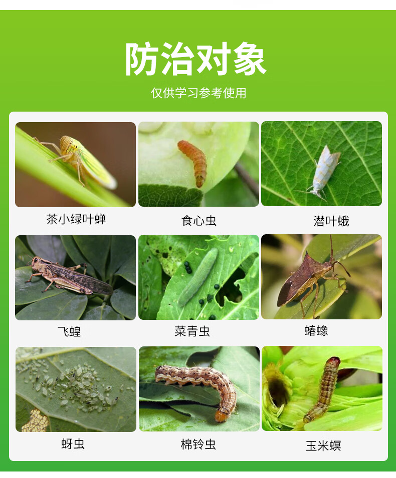 拜耳敌杀死花卉蔬菜蚜虫食心虫菜青虫农药杀虫剂80ml