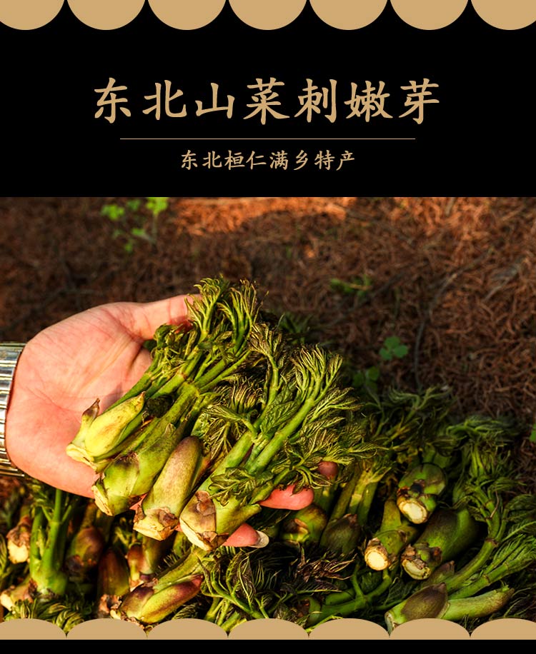 00g店铺:瑞云良园艺专营店商品编号:10049432948449商品名称:刺嫩芽