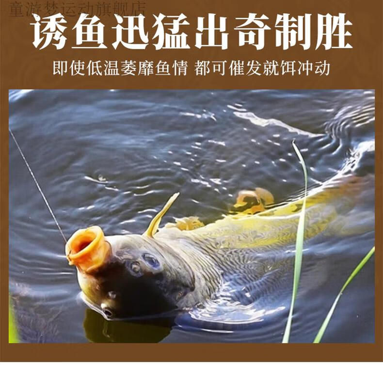 2022新款钓鱼三香油丁香油钓鱼小药公丁香酒三香油野钓鲫鱼鲤鱼专用