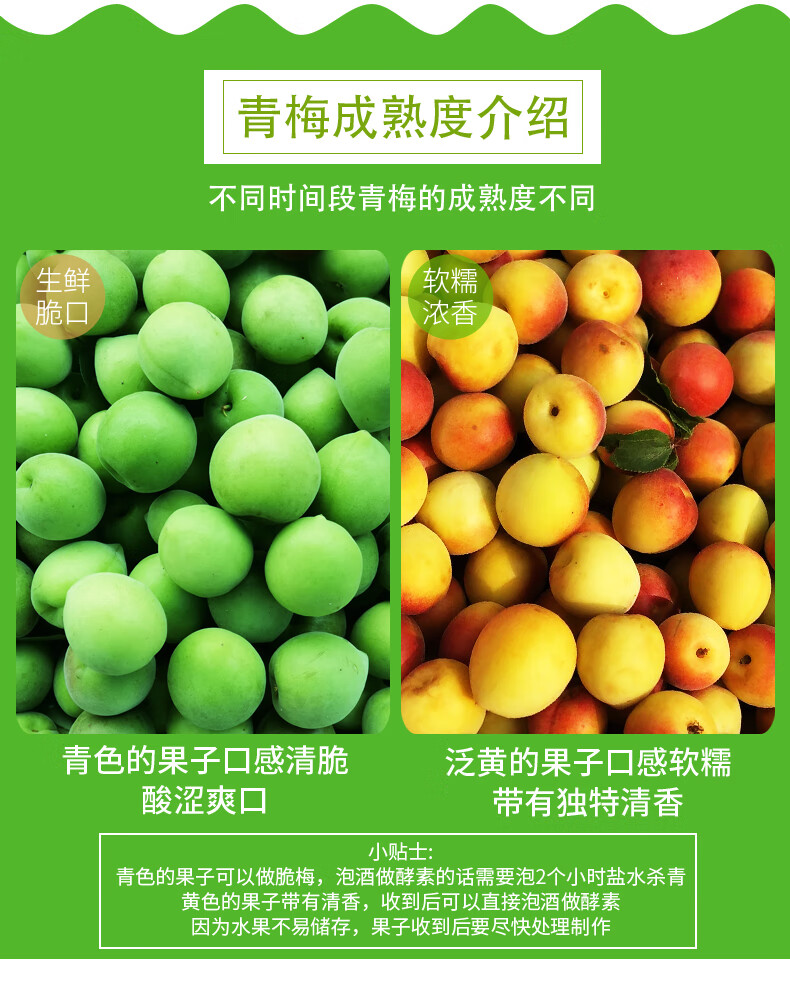 新鲜青梅果诏安高山野生富硒青梅酸梅子泡酒孕妇酸水果现摘时令当季
