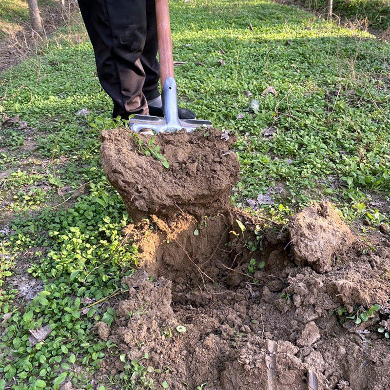 钢叉农用工具深翻叉挖红薯土豆葱蒜花生四齿钢叉粪叉翻地松土挖地翻地