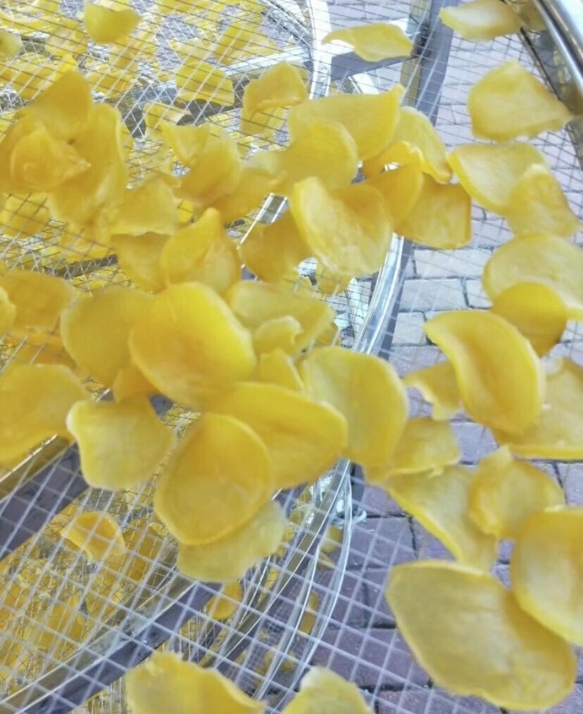 东北特产 黑龙江讷河土豆片干 手工晾晒马铃薯干 500g 500g【图片