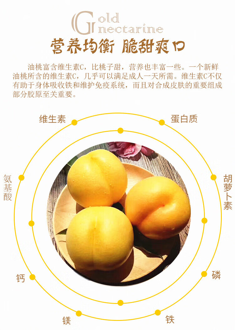 山东蒙阴新鲜黄金油桃 黄油桃 蜜桃桃子 新鲜水果 黄油桃5斤精选果(4.