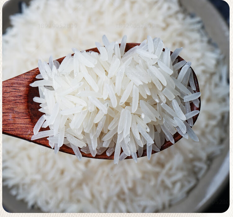 台山丝苗大米10kg21年新米五星广东象牙小农油粘米煲仔饭专用 【五星